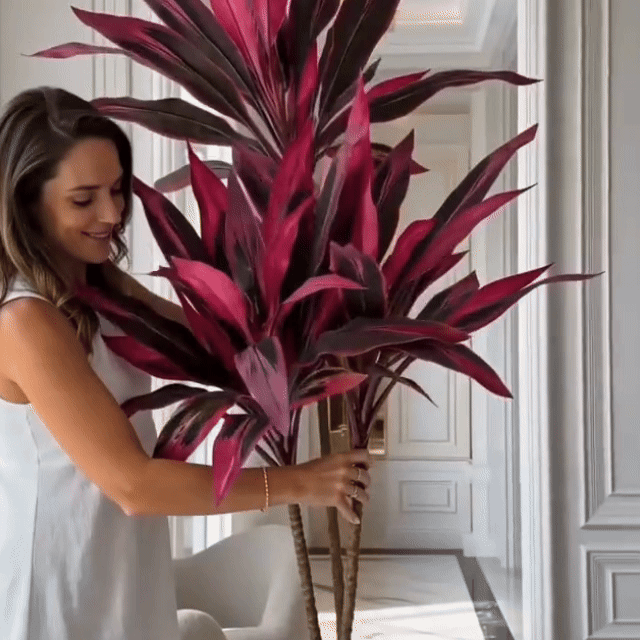 🔥Last Day 50% OFF🔥2Pcs Artificial Boston Fern & Dragon's Blood Tree Plants
